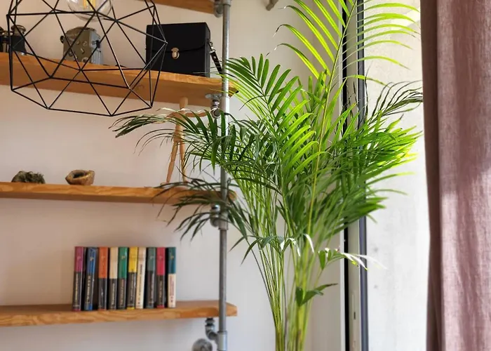 #thecosystudio06 Meyerbeer Promenade Negresco Apartmán Nice